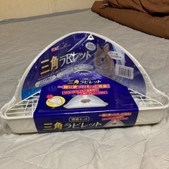 チモシーの恵 500gの画像
