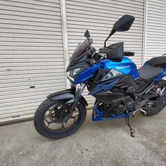 ありがとうございました!　kawasaki　Z250ABS  ETC  ﾘﾔｷｬﾘｱ　など装備の画像