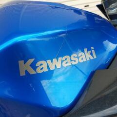 ありがとうございました!　kawasaki　Z250ABS  ETC  ﾘﾔｷｬﾘｱ　など装備の画像