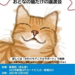 おとな猫とのあかい糸