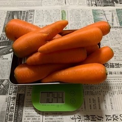 再収穫!!にんじん1kg 100円!!