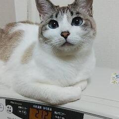 里親さん募集しています