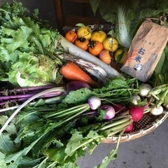 11/28朝取れ野菜新米干し芋セット追加②