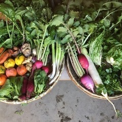 11/27朝取れ野菜新米干し芋セット②