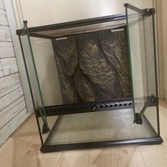 ゲージ　エキゾテラ グラステラリウム 4545 