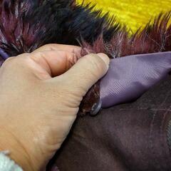 値下げ！【980円】メンズジャケット（フェイクファー付）の画像