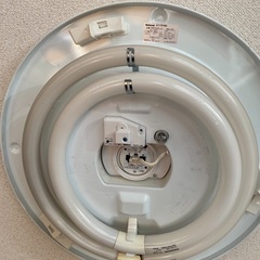 シーリング　電気付き