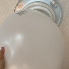 シーリング　電気付きの画像