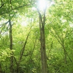 ボディケア　コミュニティ(๑˃̵ᴗ˂̵)