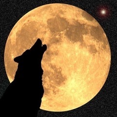 人狼ゲーム🐺(Zoom使用)