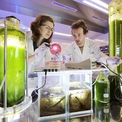 テクニシャン【大学院大学の技術員サポート業務】/AS131の画像