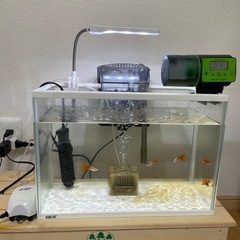 40センチ水槽他あり。値下げしました。
