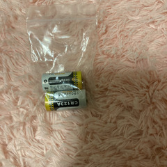 チェキ本体と新品電池の画像