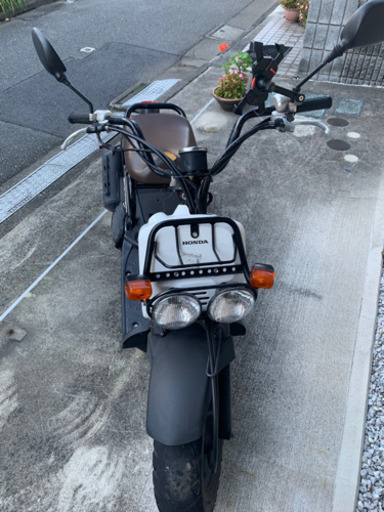 ホンダ　ズーマー　ZOOMER AF56