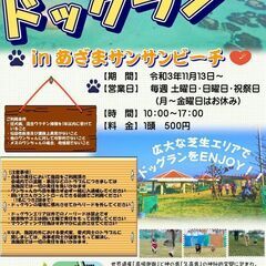 Winter Beach marche in あざまサンサンビーチ - イベント