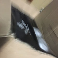 桂由美4点セット　11個の画像