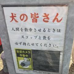 全国🇯🇵雑談通話グル🧑‍🎄