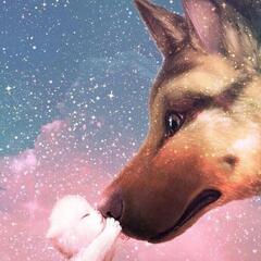 全国🐵🐢雑談通話グル⭐🦄