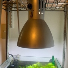 水槽セット