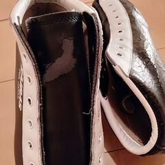 【24.5cm】 スピードスケート靴　ZAIRAS　④の画像