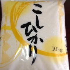 新米　愛知産コシヒカリ10キロ　精米無料