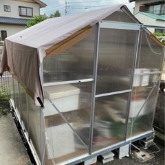 温室です/引き渡し先決定