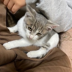 人が大好きな甘えん坊君
