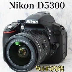S数945●超美品●AF-Pレンズ●Wi-Fi内蔵●ニコン D5300 1ヶ月動作保証あり！安心のゆうパック代引き発送！送料、代引き手数料無料！