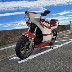 ヤマハ　YAMAHA FZR250 (3LN)