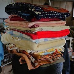お譲り済みです♪動物保護活動や養生等にご活用下さい！ 毛布等差し...