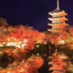 11月26日(金)紅葉の京都🍁着物散策👘❤️一緒にしましょっっ♬ - メンバー募集