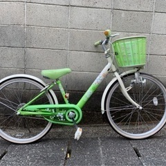 【子供車】22インチ　ブリヂストン製　エコパル　変速なし　若林自...