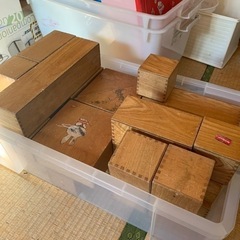 今日引き取り希望