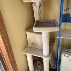 キャットタワー　無料　