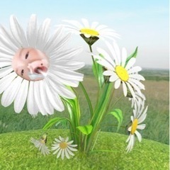 0歳児育児中の適当ママとまったりしたい！0歳児じゃなくてもOK