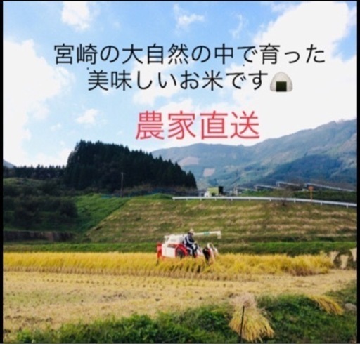 味に自信あり‼︎ 宮崎県美郷町西郷産ひのひかり 玄米３０kg 令和3年の新米‼️