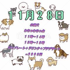 小型犬集まれ【ワチャワチャ会】犬山🎵