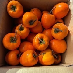 シブ柿40個　値下げ【取引き成立致しました！】