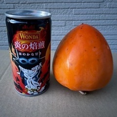 シブ柿40個　値下げ【取引き成立致しました！】の画像