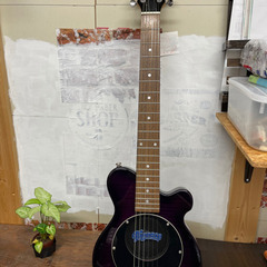 (値下げ)ピグノーズ　アンプ内蔵ギター