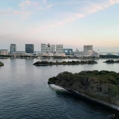 11/26(金)お台場周辺で一緒に写真やお散歩を楽しみませんか？