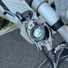  自転車　