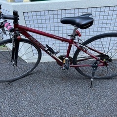  自転車　