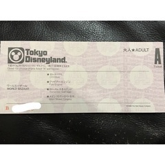 ディズニー　チケット　ビッグ10