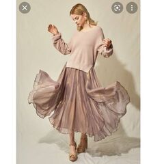 LilyBrown リリーブラウン 光沢シアスカート スカート ...