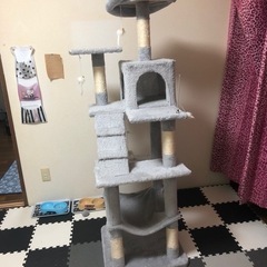 キャットタワー 