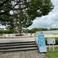 キャッチボールしましょう‼️予定多数😊 - スポーツ