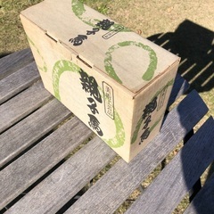 干支の置物　ブロンズ　馬の画像