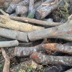 受付再開します！薪原料！の画像