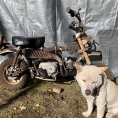 4 Z50J 4L モンキー 欠品多少　キックok 茨城県常陸太...